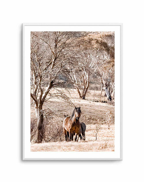 Wild Brumbies | Stallion Art Print-PRINT-Olive et Oriel-Olive et Oriel-A5 | 5.8" x 8.3" | 14.8 x 21cm-Unframed Art Print-With White Border-Buy-Australian-Art-Prints-Online-with-Olive-et-Oriel-Your-Artwork-Specialists-Austrailia-Decorate-With-Coastal-Photo-Wall-Art-Prints-From-Our-Beach-House-Artwork-Collection-Fine-Poster-and-Framed-Artwork