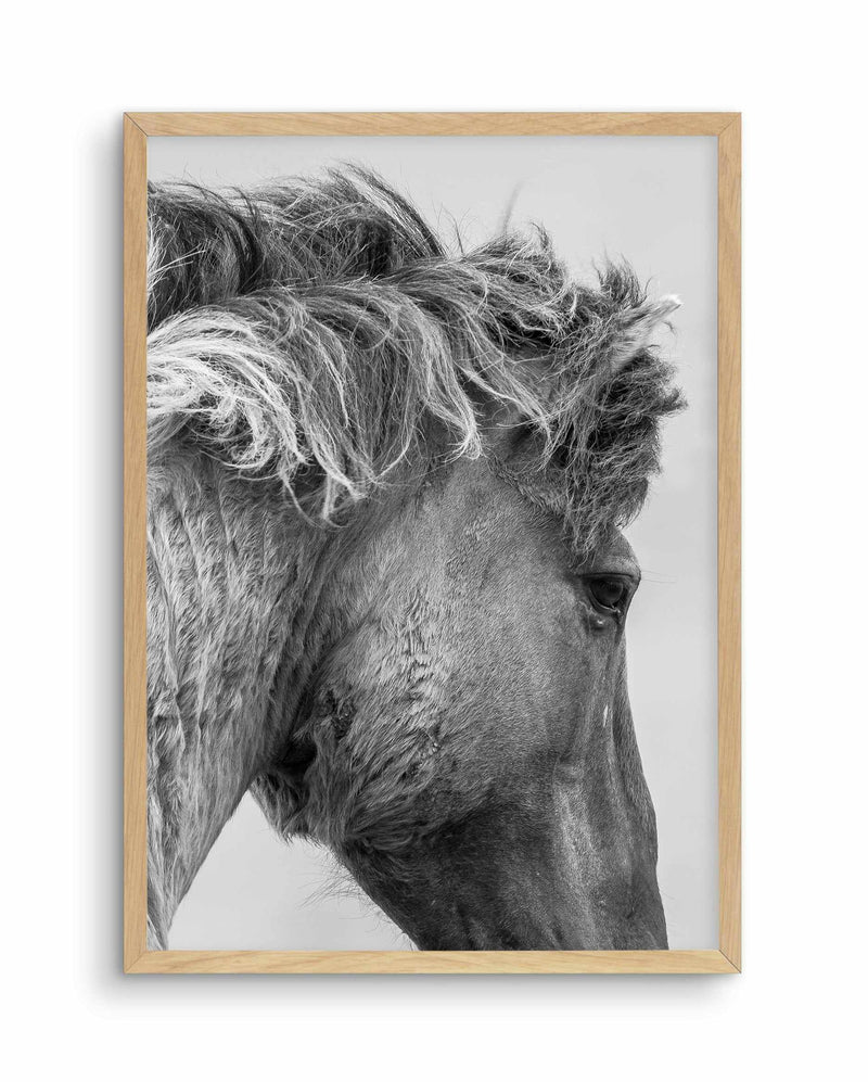 Wild Horse Close-up Art Print-PRINT-Olive et Oriel-Olive et Oriel-A5 | 5.8" x 8.3" | 14.8 x 21cm-Oak-With White Border-Buy-Australian-Art-Prints-Online-with-Olive-et-Oriel-Your-Artwork-Specialists-Austrailia-Decorate-With-Coastal-Photo-Wall-Art-Prints-From-Our-Beach-House-Artwork-Collection-Fine-Poster-and-Framed-Artwork