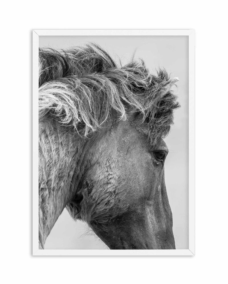 Wild Horse Close-up Art Print-PRINT-Olive et Oriel-Olive et Oriel-A5 | 5.8" x 8.3" | 14.8 x 21cm-White-With White Border-Buy-Australian-Art-Prints-Online-with-Olive-et-Oriel-Your-Artwork-Specialists-Austrailia-Decorate-With-Coastal-Photo-Wall-Art-Prints-From-Our-Beach-House-Artwork-Collection-Fine-Poster-and-Framed-Artwork