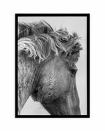 Wild Horse Close-up Art Print-PRINT-Olive et Oriel-Olive et Oriel-A5 | 5.8" x 8.3" | 14.8 x 21cm-Black-With White Border-Buy-Australian-Art-Prints-Online-with-Olive-et-Oriel-Your-Artwork-Specialists-Austrailia-Decorate-With-Coastal-Photo-Wall-Art-Prints-From-Our-Beach-House-Artwork-Collection-Fine-Poster-and-Framed-Artwork