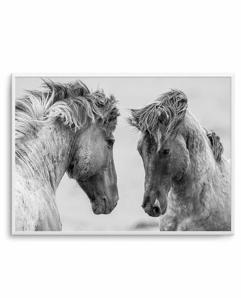 Wild Horses | LS Art Print-PRINT-Olive et Oriel-Olive et Oriel-A4 | 8.3" x 11.7" | 21 x 29.7cm-Unframed Art Print-With White Border-Buy-Australian-Art-Prints-Online-with-Olive-et-Oriel-Your-Artwork-Specialists-Austrailia-Decorate-With-Coastal-Photo-Wall-Art-Prints-From-Our-Beach-House-Artwork-Collection-Fine-Poster-and-Framed-Artwork