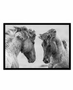 Wild Horses | LS Art Print-PRINT-Olive et Oriel-Olive et Oriel-A4 | 8.3" x 11.7" | 21 x 29.7cm-Black-With White Border-Buy-Australian-Art-Prints-Online-with-Olive-et-Oriel-Your-Artwork-Specialists-Austrailia-Decorate-With-Coastal-Photo-Wall-Art-Prints-From-Our-Beach-House-Artwork-Collection-Fine-Poster-and-Framed-Artwork