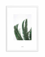 Wild Palms Art Print-PRINT-Olive et Oriel-Olive et Oriel-A4 | 8.3" x 11.7" | 21 x 29.7cm-White-With White Border-Buy-Australian-Art-Prints-Online-with-Olive-et-Oriel-Your-Artwork-Specialists-Austrailia-Decorate-With-Coastal-Photo-Wall-Art-Prints-From-Our-Beach-House-Artwork-Collection-Fine-Poster-and-Framed-Artwork