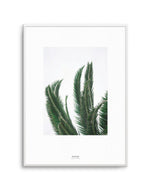 Wild Palms Art Print-PRINT-Olive et Oriel-Olive et Oriel-A4 | 8.3" x 11.7" | 21 x 29.7cm-Unframed Art Print-With White Border-Buy-Australian-Art-Prints-Online-with-Olive-et-Oriel-Your-Artwork-Specialists-Austrailia-Decorate-With-Coastal-Photo-Wall-Art-Prints-From-Our-Beach-House-Artwork-Collection-Fine-Poster-and-Framed-Artwork