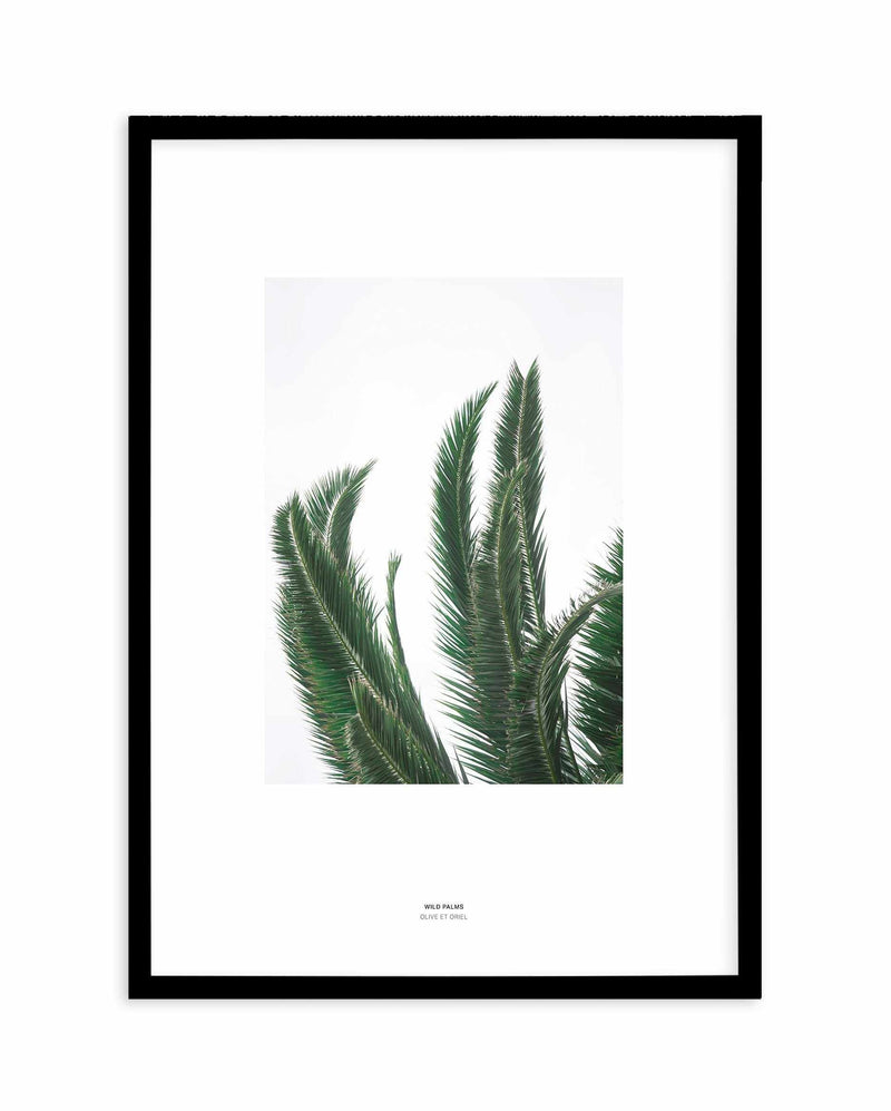 Wild Palms Art Print-PRINT-Olive et Oriel-Olive et Oriel-A4 | 8.3" x 11.7" | 21 x 29.7cm-Black-With White Border-Buy-Australian-Art-Prints-Online-with-Olive-et-Oriel-Your-Artwork-Specialists-Austrailia-Decorate-With-Coastal-Photo-Wall-Art-Prints-From-Our-Beach-House-Artwork-Collection-Fine-Poster-and-Framed-Artwork