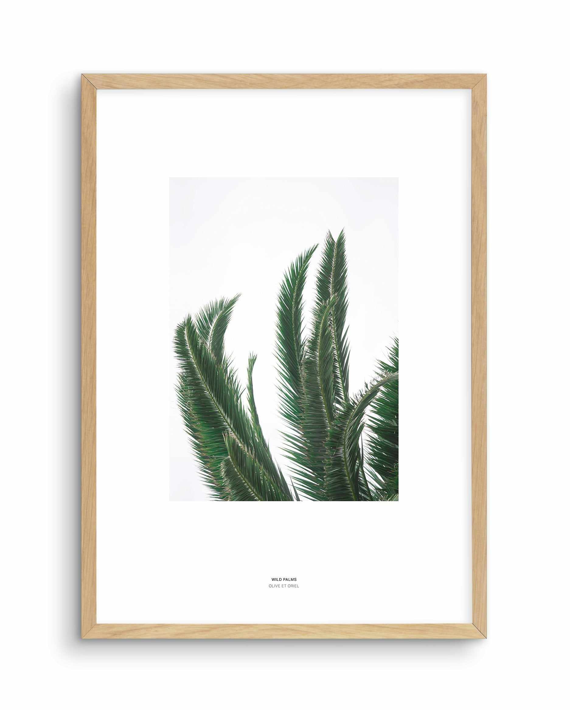 Wild Palms Art Print-PRINT-Olive et Oriel-Olive et Oriel-A4 | 8.3" x 11.7" | 21 x 29.7cm-Oak-With White Border-Buy-Australian-Art-Prints-Online-with-Olive-et-Oriel-Your-Artwork-Specialists-Austrailia-Decorate-With-Coastal-Photo-Wall-Art-Prints-From-Our-Beach-House-Artwork-Collection-Fine-Poster-and-Framed-Artwork