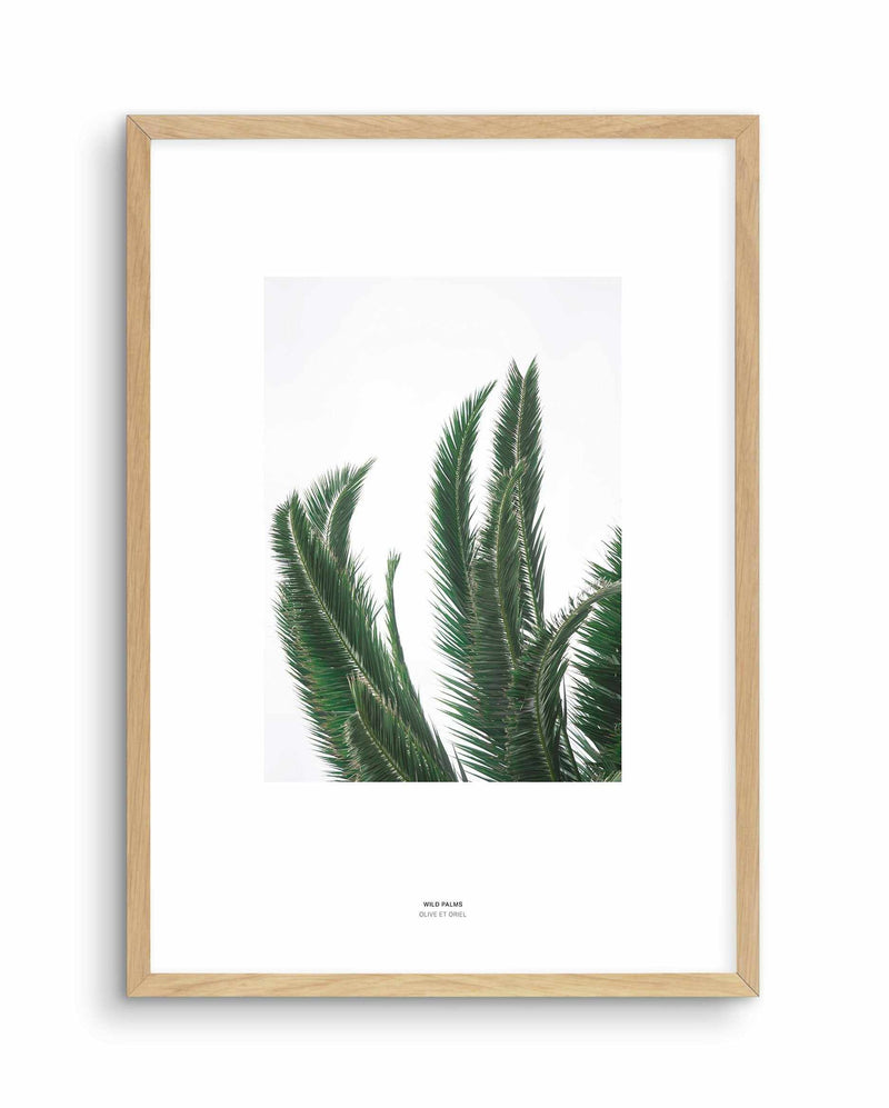 Wild Palms Art Print-PRINT-Olive et Oriel-Olive et Oriel-A4 | 8.3" x 11.7" | 21 x 29.7cm-Oak-With White Border-Buy-Australian-Art-Prints-Online-with-Olive-et-Oriel-Your-Artwork-Specialists-Austrailia-Decorate-With-Coastal-Photo-Wall-Art-Prints-From-Our-Beach-House-Artwork-Collection-Fine-Poster-and-Framed-Artwork