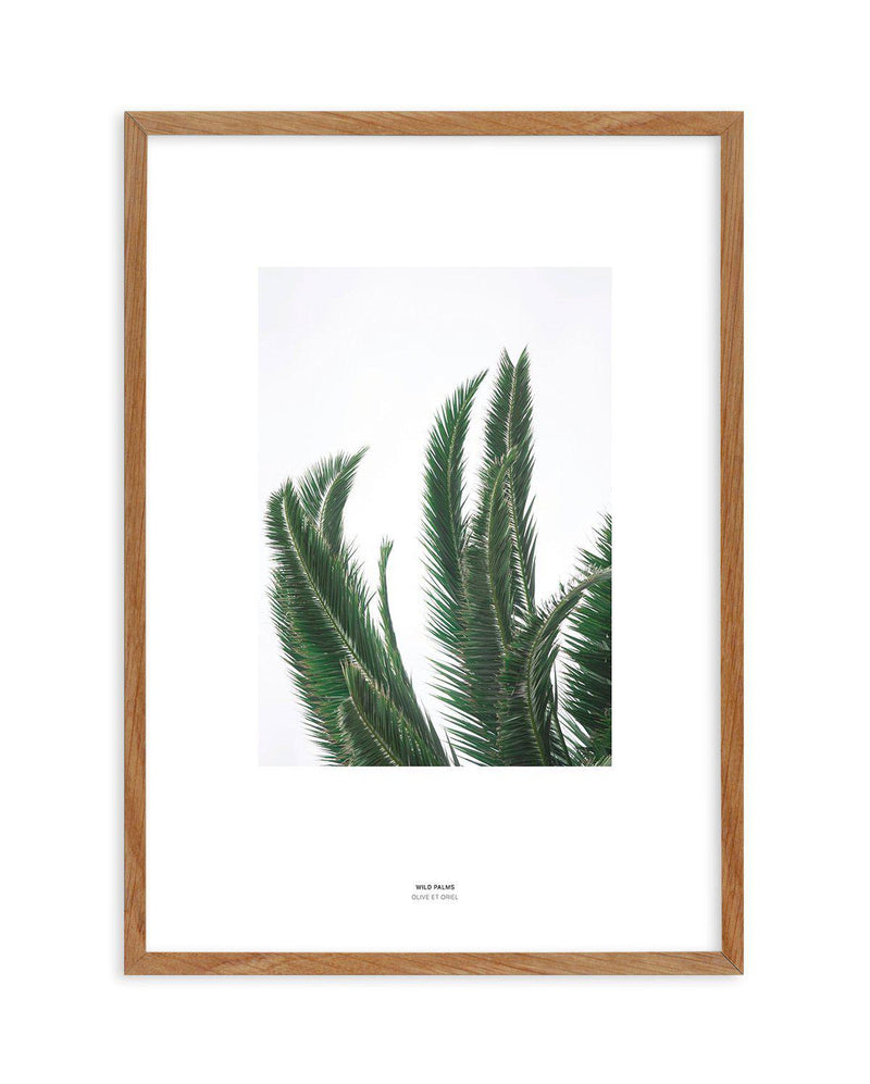 Wild Palms Art Print-PRINT-Olive et Oriel-Olive et Oriel-50x70 cm | 19.6" x 27.5"-Walnut-With White Border-Buy-Australian-Art-Prints-Online-with-Olive-et-Oriel-Your-Artwork-Specialists-Austrailia-Decorate-With-Coastal-Photo-Wall-Art-Prints-From-Our-Beach-House-Artwork-Collection-Fine-Poster-and-Framed-Artwork