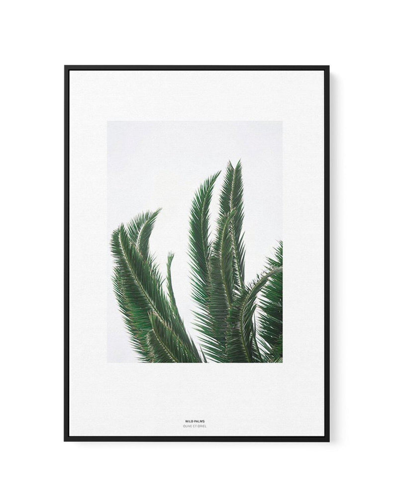 Wild Palms | Framed Canvas-CANVAS-You can shop wall art online with Olive et Oriel for everything from abstract art to fun kids wall art. Our beautiful modern art prints and canvas art are available from large canvas prints to wall art paintings and our proudly Australian artwork collection offers only the highest quality framed large wall art and canvas art Australia - You can buy fashion photography prints or Hampton print posters and paintings on canvas from Olive et Oriel and have them deliv