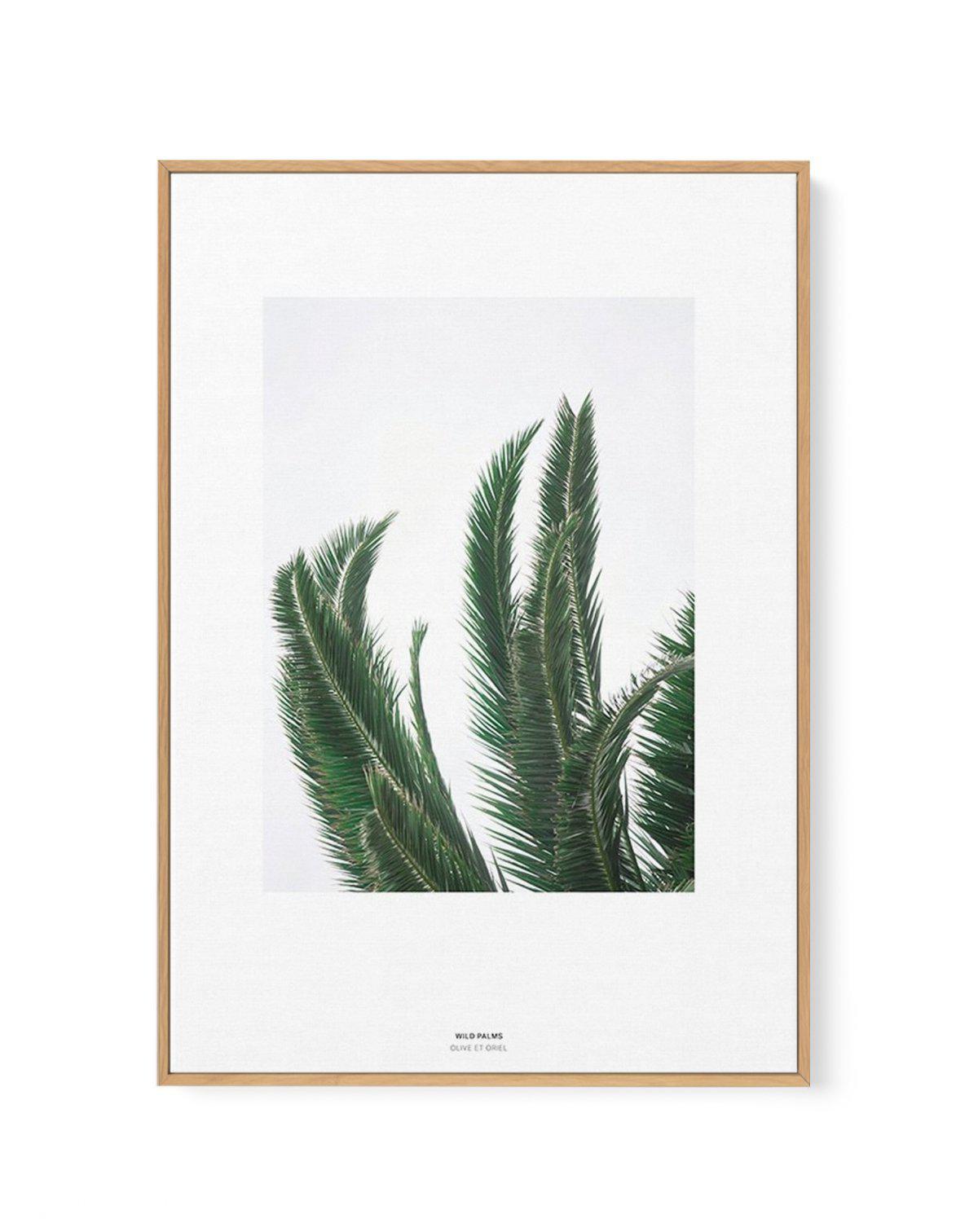 Wild Palms | Framed Canvas-CANVAS-You can shop wall art online with Olive et Oriel for everything from abstract art to fun kids wall art. Our beautiful modern art prints and canvas art are available from large canvas prints to wall art paintings and our proudly Australian artwork collection offers only the highest quality framed large wall art and canvas art Australia - You can buy fashion photography prints or Hampton print posters and paintings on canvas from Olive et Oriel and have them deliv