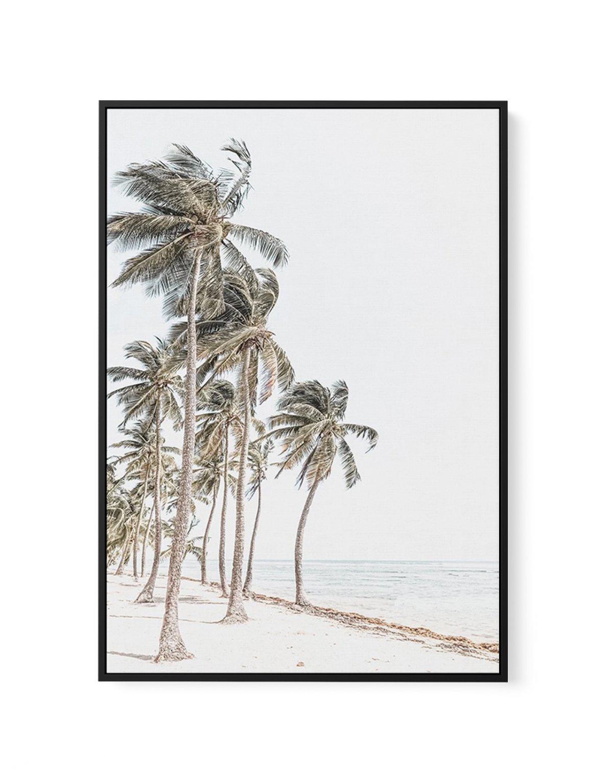 Windy Palms | Framed Canvas-CANVAS-You can shop wall art online with Olive et Oriel for everything from abstract art to fun kids wall art. Our beautiful modern art prints and canvas art are available from large canvas prints to wall art paintings and our proudly Australian artwork collection offers only the highest quality framed large wall art and canvas art Australia - You can buy fashion photography prints or Hampton print posters and paintings on canvas from Olive et Oriel and have them deli