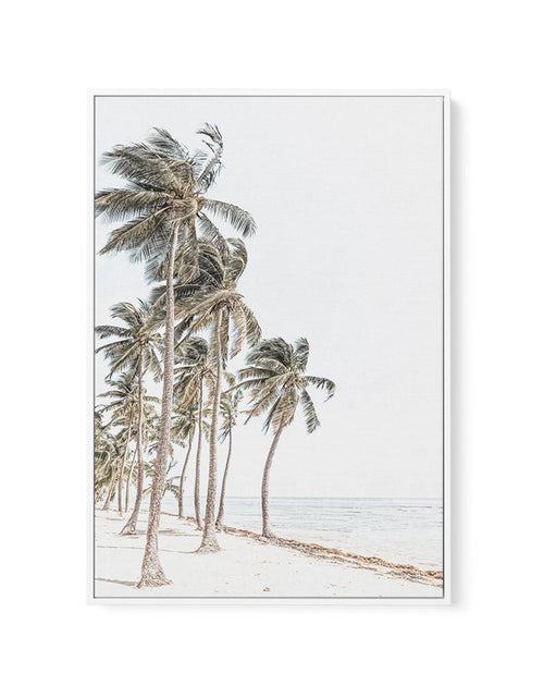 Windy Palms | Framed Canvas-CANVAS-You can shop wall art online with Olive et Oriel for everything from abstract art to fun kids wall art. Our beautiful modern art prints and canvas art are available from large canvas prints to wall art paintings and our proudly Australian artwork collection offers only the highest quality framed large wall art and canvas art Australia - You can buy fashion photography prints or Hampton print posters and paintings on canvas from Olive et Oriel and have them deli
