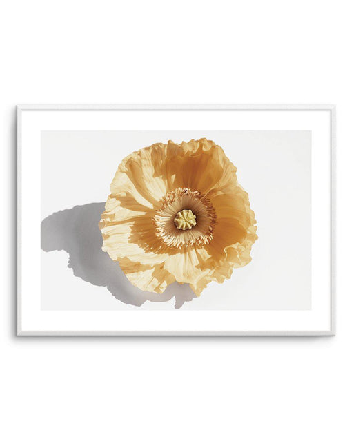 Yellow Poppy Art Print-PRINT-Olive et Oriel-Olive et Oriel-A5 | 5.8" x 8.3" | 14.8 x 21cm-Unframed Art Print-With White Border-Buy-Australian-Art-Prints-Online-with-Olive-et-Oriel-Your-Artwork-Specialists-Austrailia-Decorate-With-Coastal-Photo-Wall-Art-Prints-From-Our-Beach-House-Artwork-Collection-Fine-Poster-and-Framed-Artwork