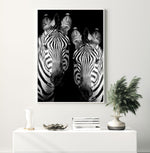 Zebra De Nuit | PT Art Print-PRINT-Olive et Oriel-Olive et Oriel-Buy-Australian-Art-Prints-Online-with-Olive-et-Oriel-Your-Artwork-Specialists-Austrailia-Decorate-With-Coastal-Photo-Wall-Art-Prints-From-Our-Beach-House-Artwork-Collection-Fine-Poster-and-Framed-Artwork