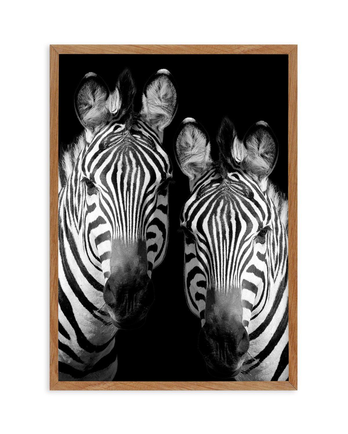 Zebra De Nuit | PT Art Print-PRINT-Olive et Oriel-Olive et Oriel-50x70 cm | 19.6" x 27.5"-Walnut-With White Border-Buy-Australian-Art-Prints-Online-with-Olive-et-Oriel-Your-Artwork-Specialists-Austrailia-Decorate-With-Coastal-Photo-Wall-Art-Prints-From-Our-Beach-House-Artwork-Collection-Fine-Poster-and-Framed-Artwork