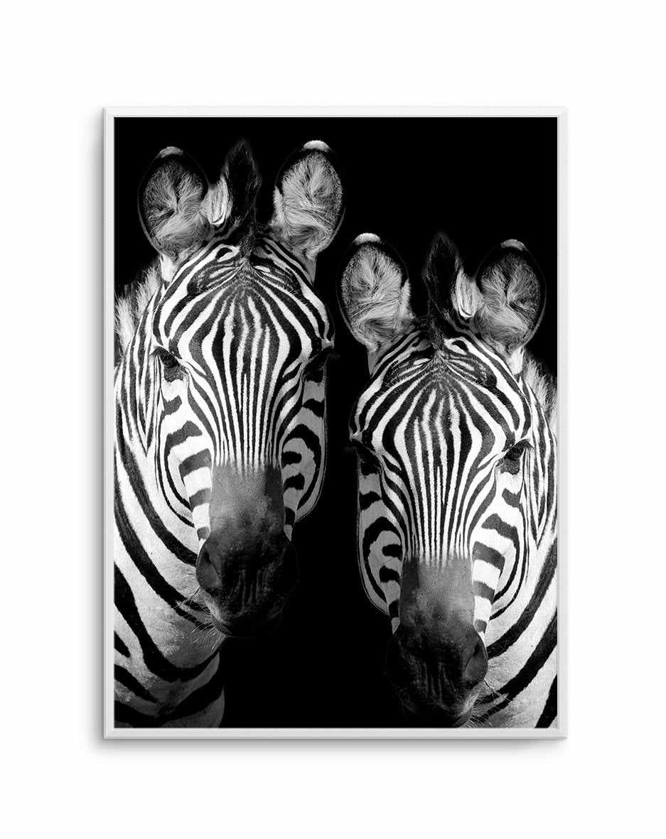 Zebra De Nuit | PT Art Print-PRINT-Olive et Oriel-Olive et Oriel-A5 | 5.8" x 8.3" | 14.8 x 21cm-Unframed Art Print-With White Border-Buy-Australian-Art-Prints-Online-with-Olive-et-Oriel-Your-Artwork-Specialists-Austrailia-Decorate-With-Coastal-Photo-Wall-Art-Prints-From-Our-Beach-House-Artwork-Collection-Fine-Poster-and-Framed-Artwork