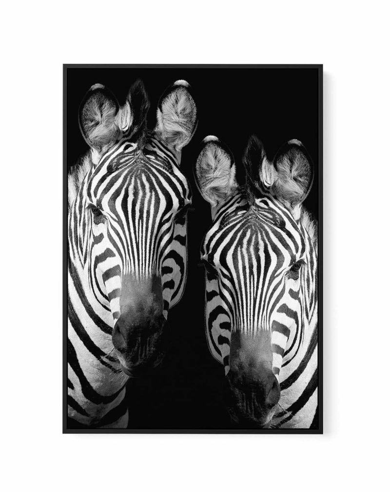 Zebra De Nuit | PT | Framed Canvas-CANVAS-You can shop wall art online with Olive et Oriel for everything from abstract art to fun kids wall art. Our beautiful modern art prints and canvas art are available from large canvas prints to wall art paintings and our proudly Australian artwork collection offers only the highest quality framed large wall art and canvas art Australia - You can buy fashion photography prints or Hampton print posters and paintings on canvas from Olive et Oriel and have th