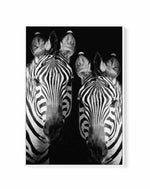 Zebra De Nuit | PT | Framed Canvas-CANVAS-You can shop wall art online with Olive et Oriel for everything from abstract art to fun kids wall art. Our beautiful modern art prints and canvas art are available from large canvas prints to wall art paintings and our proudly Australian artwork collection offers only the highest quality framed large wall art and canvas art Australia - You can buy fashion photography prints or Hampton print posters and paintings on canvas from Olive et Oriel and have th