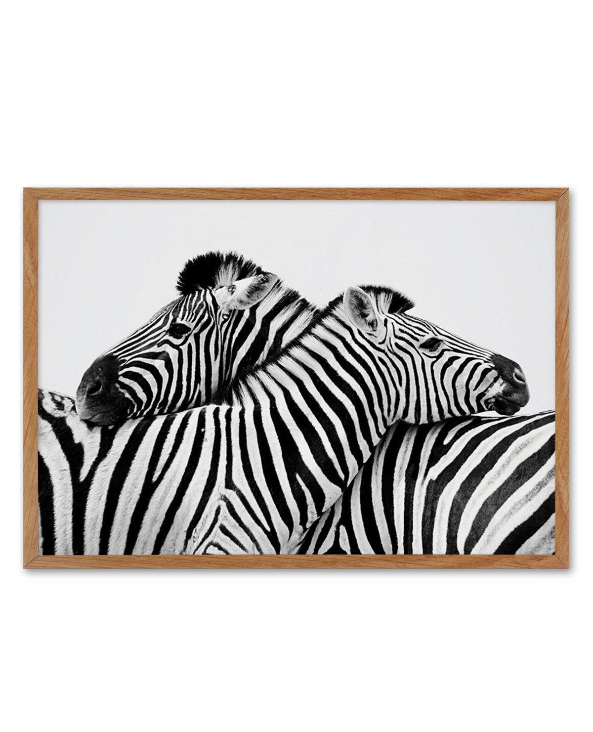 Zebras Embrace | LS Art Print-PRINT-Olive et Oriel-Olive et Oriel-50x70 cm | 19.6" x 27.5"-Walnut-With White Border-Buy-Australian-Art-Prints-Online-with-Olive-et-Oriel-Your-Artwork-Specialists-Austrailia-Decorate-With-Coastal-Photo-Wall-Art-Prints-From-Our-Beach-House-Artwork-Collection-Fine-Poster-and-Framed-Artwork