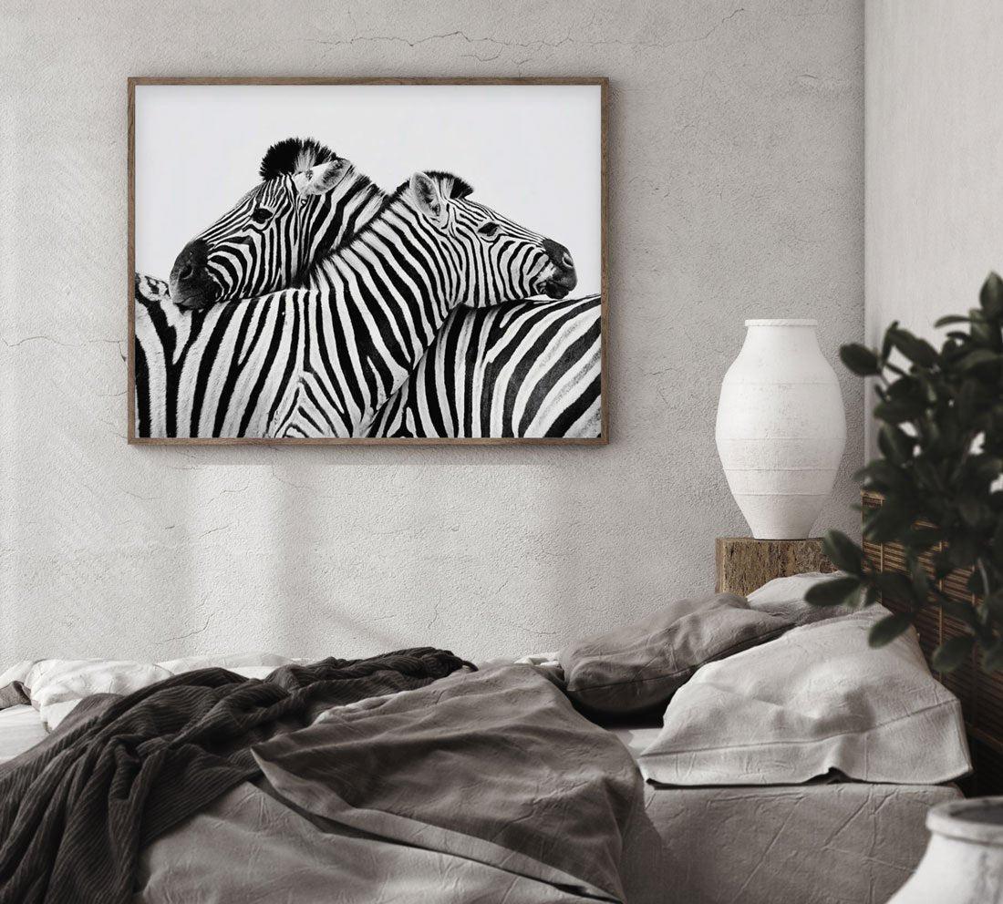 Zebras Embrace | LS Art Print-PRINT-Olive et Oriel-Olive et Oriel-Buy-Australian-Art-Prints-Online-with-Olive-et-Oriel-Your-Artwork-Specialists-Austrailia-Decorate-With-Coastal-Photo-Wall-Art-Prints-From-Our-Beach-House-Artwork-Collection-Fine-Poster-and-Framed-Artwork