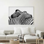 Zebras Embrace | LS Art Print-PRINT-Olive et Oriel-Olive et Oriel-Buy-Australian-Art-Prints-Online-with-Olive-et-Oriel-Your-Artwork-Specialists-Austrailia-Decorate-With-Coastal-Photo-Wall-Art-Prints-From-Our-Beach-House-Artwork-Collection-Fine-Poster-and-Framed-Artwork