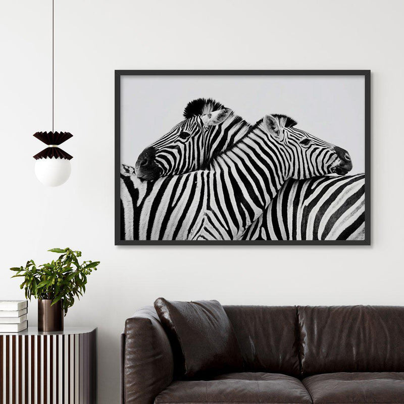Zebras Embrace | LS Art Print-PRINT-Olive et Oriel-Olive et Oriel-Buy-Australian-Art-Prints-Online-with-Olive-et-Oriel-Your-Artwork-Specialists-Austrailia-Decorate-With-Coastal-Photo-Wall-Art-Prints-From-Our-Beach-House-Artwork-Collection-Fine-Poster-and-Framed-Artwork